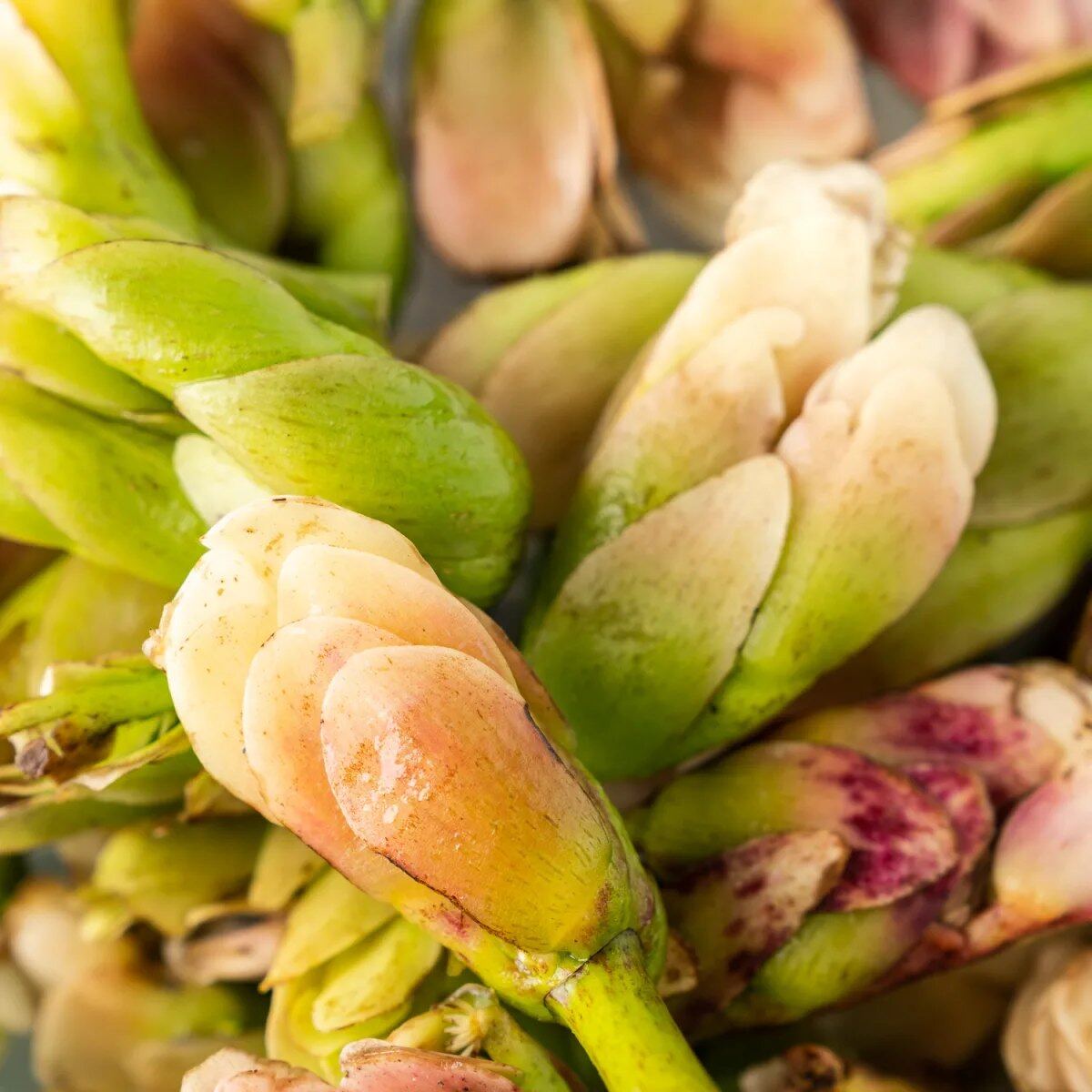 Seasonal Cape produce and fynbos herbs laid out on a market table
